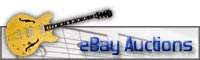 Guitar Auctions